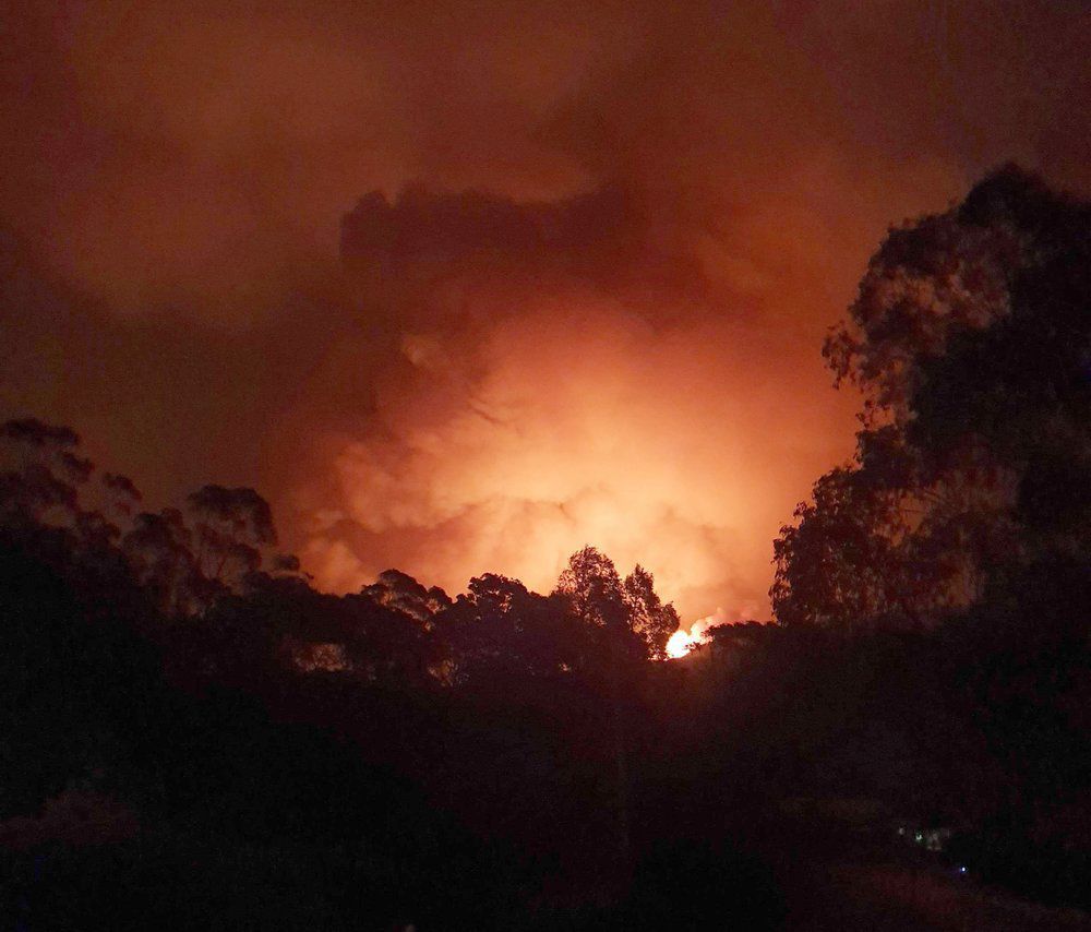 Australia-Incendios: No se rinde y sigue buscando a su perro